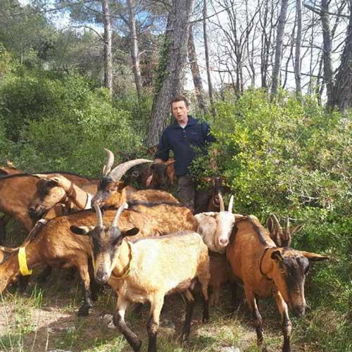 Alexandre Falinski, producteur dans les Alpes-Maritimes